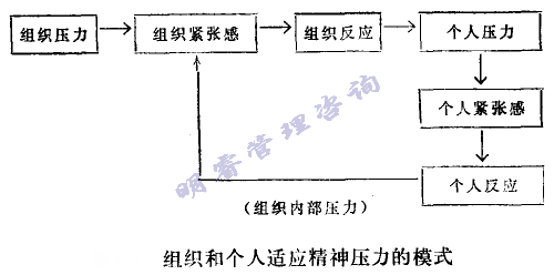 组织和小我私家顺应精神压力的模式