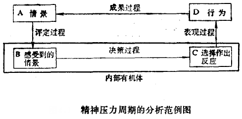 精神压力周期的剖析规范