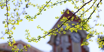 首页| 亿万先生MR中国集团官网登录