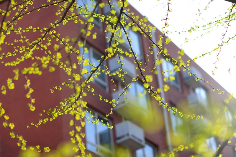 首页| 亿万先生MR中国集团官网登录