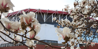 首页| 亿万先生MR中国集团官网登录