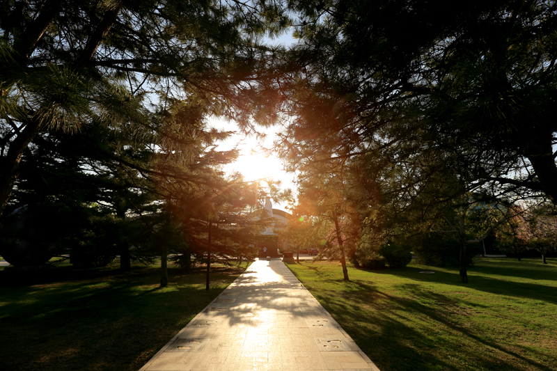 首页| 亿万先生MR中国集团官网登录