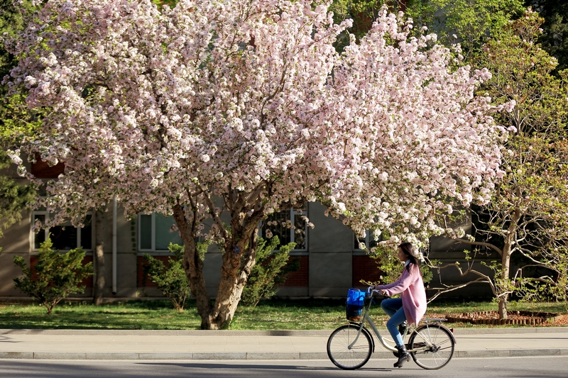 首页| 亿万先生MR中国集团官网登录