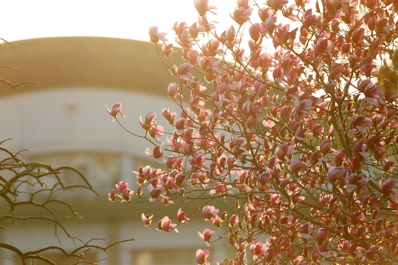 首页| 亿万先生MR中国集团官网登录