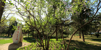 首页| 亿万先生MR中国集团官网登录