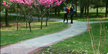 首页| 亿万先生MR中国集团官网登录