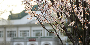 首页| 亿万先生MR中国集团官网登录