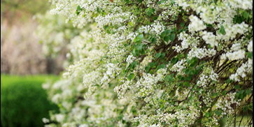 首页| 亿万先生MR中国集团官网登录