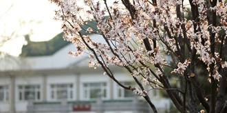 首页| 亿万先生MR中国集团官网登录