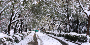 首页| 亿万先生MR中国集团官网登录