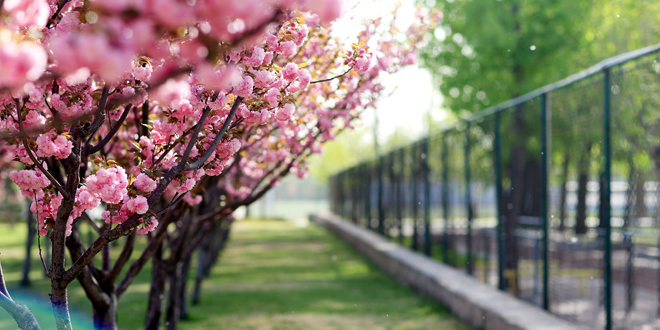 首页| 亿万先生MR中国集团官网登录