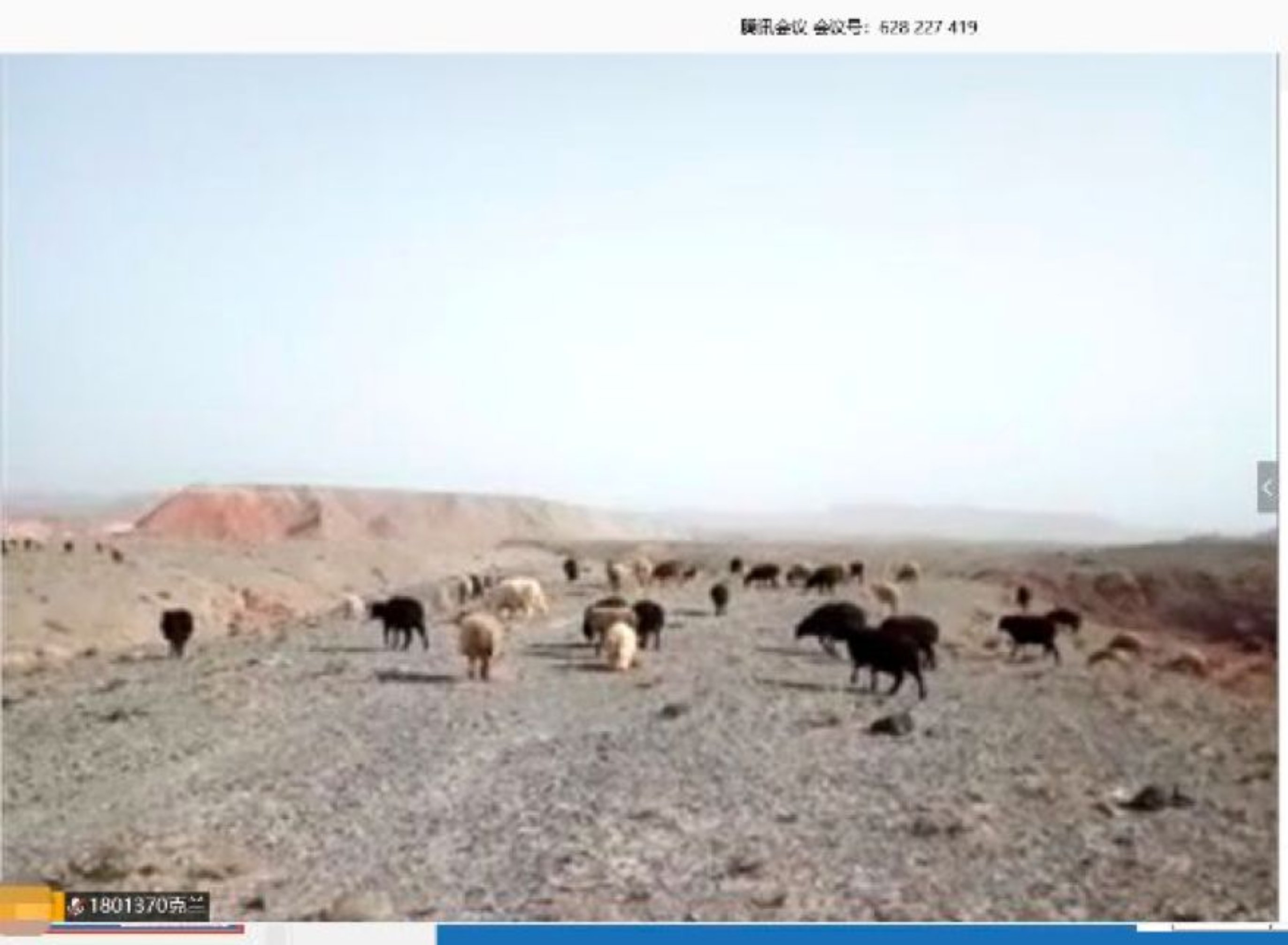 首页| 亿万先生MR中国集团官网登录