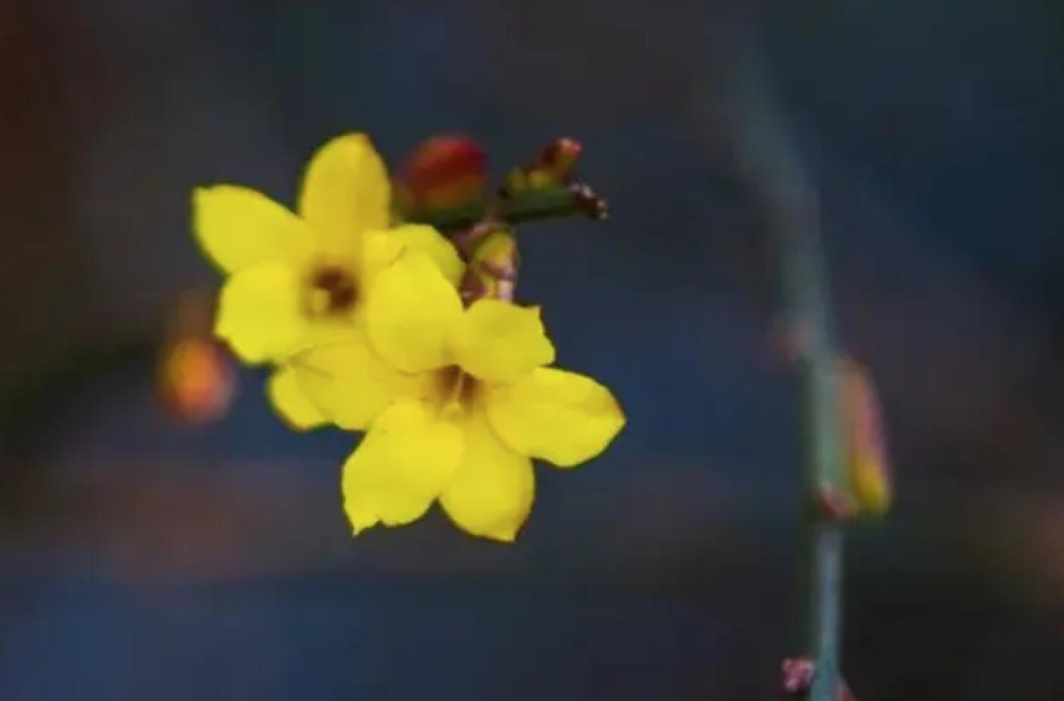 首页| 亿万先生MR中国集团官网登录