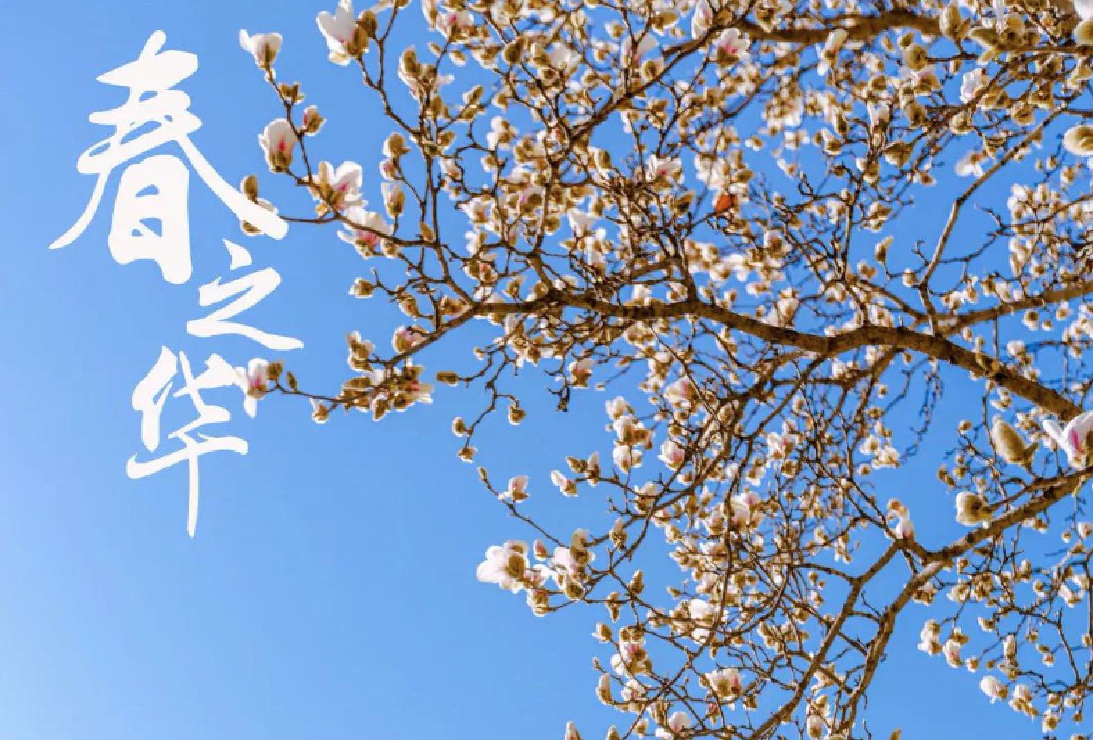 首页| 亿万先生MR中国集团官网登录