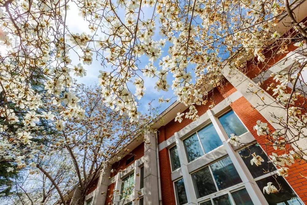 首页| 亿万先生MR中国集团官网登录