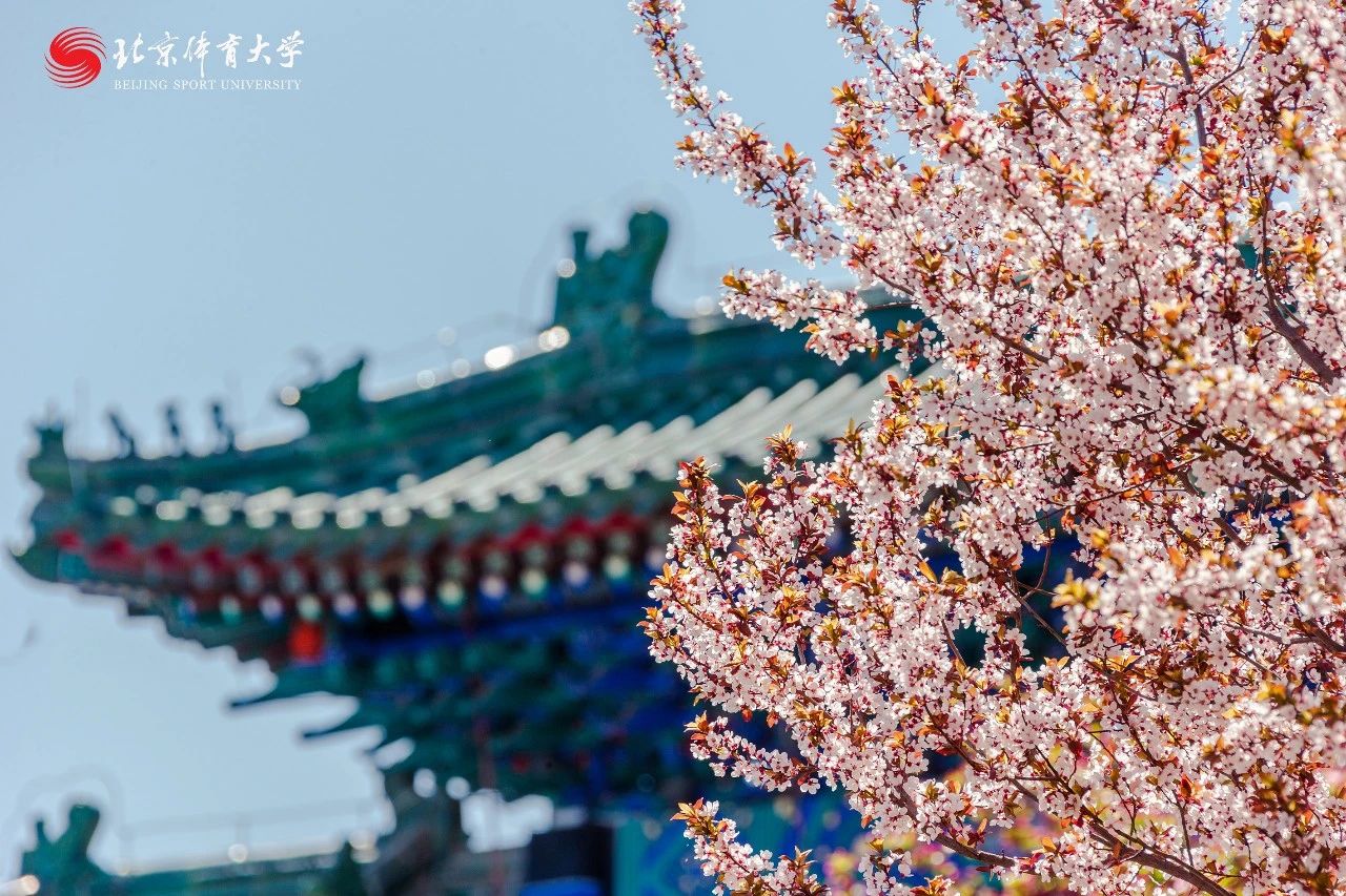 首页| 亿万先生MR中国集团官网登录