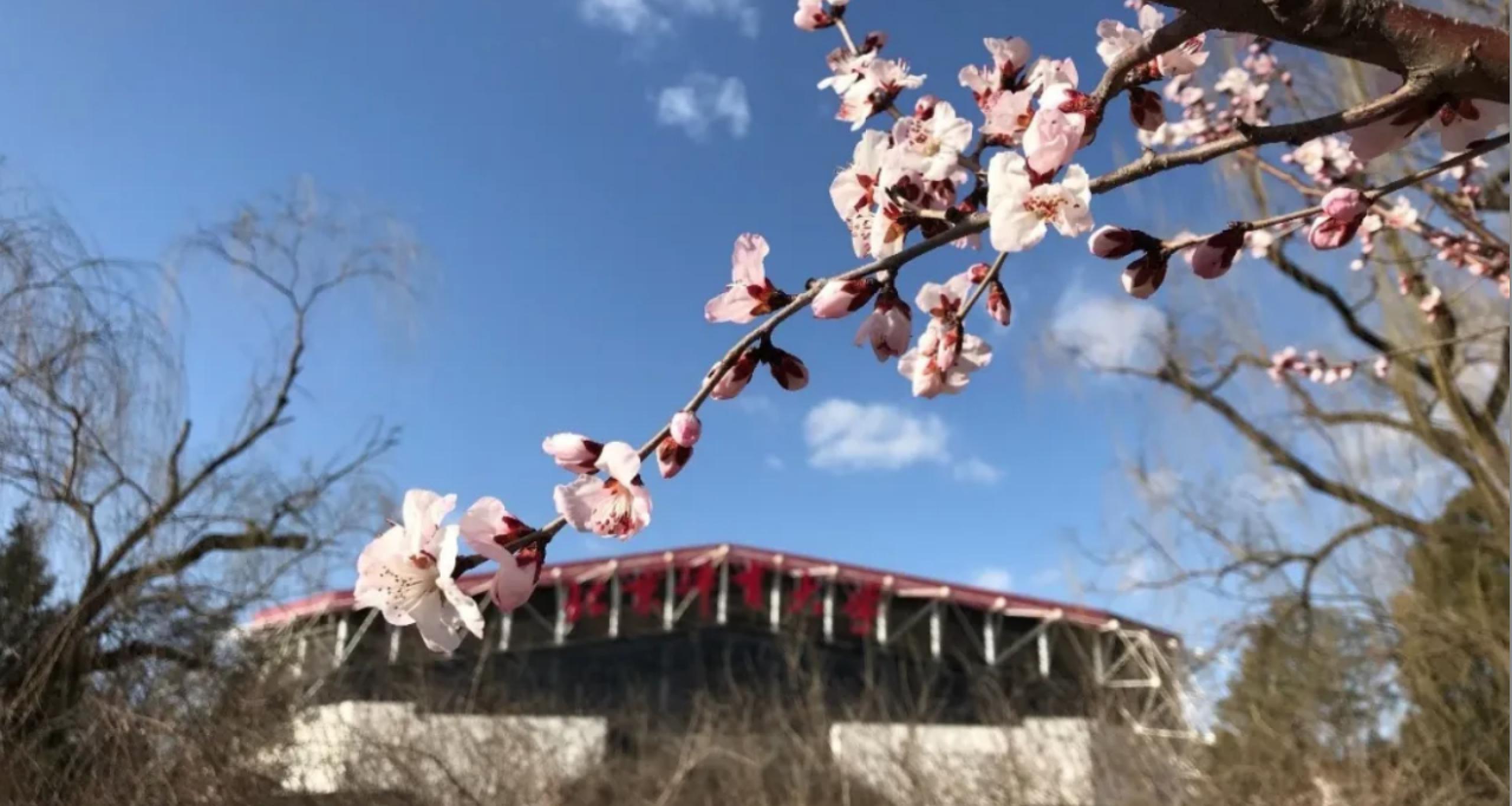 首页| 亿万先生MR中国集团官网登录