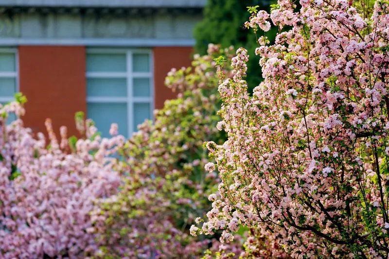 首页| 亿万先生MR中国集团官网登录