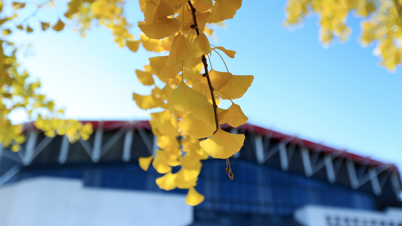 首页| 亿万先生MR中国集团官网登录