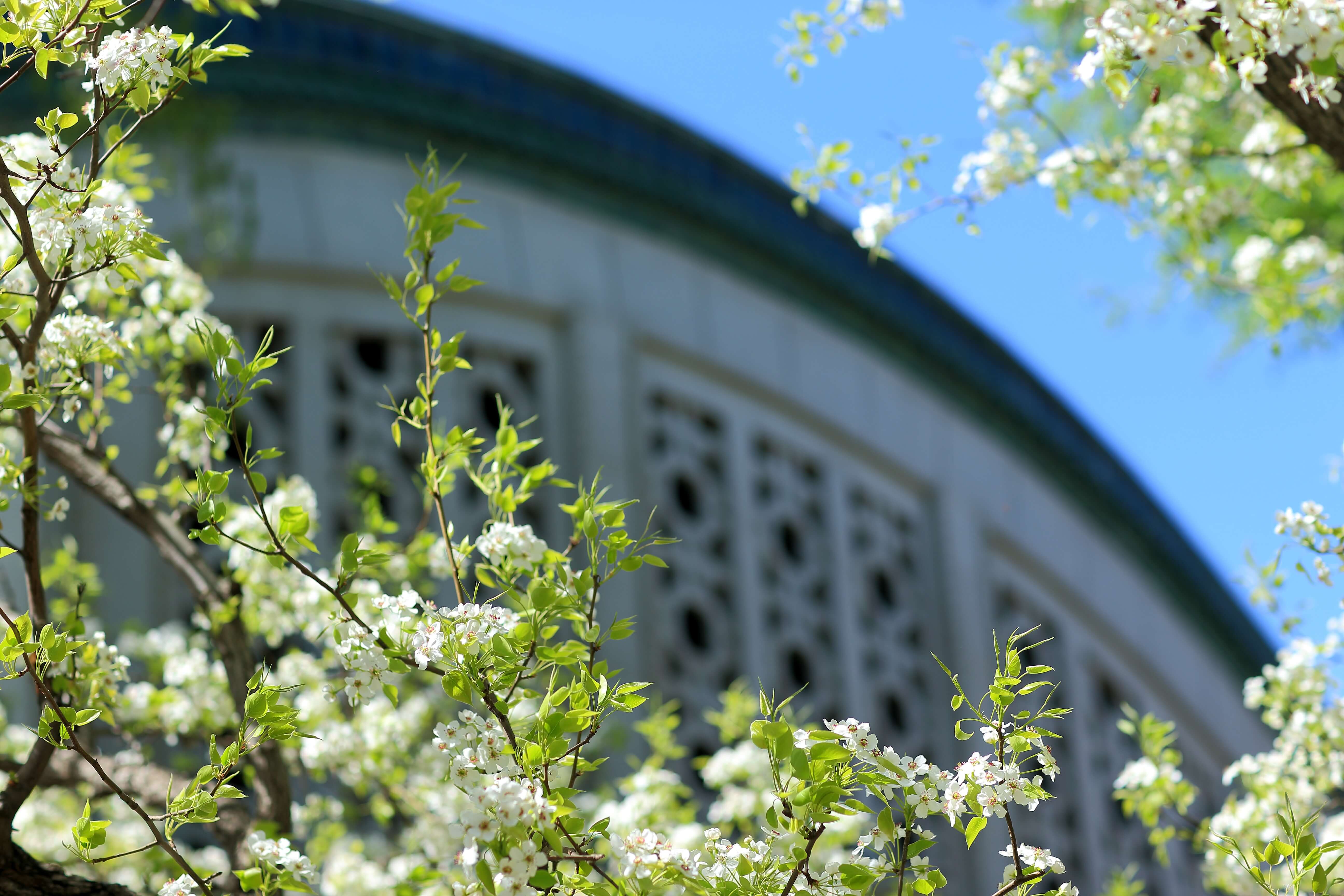 首页| 亿万先生MR中国集团官网登录