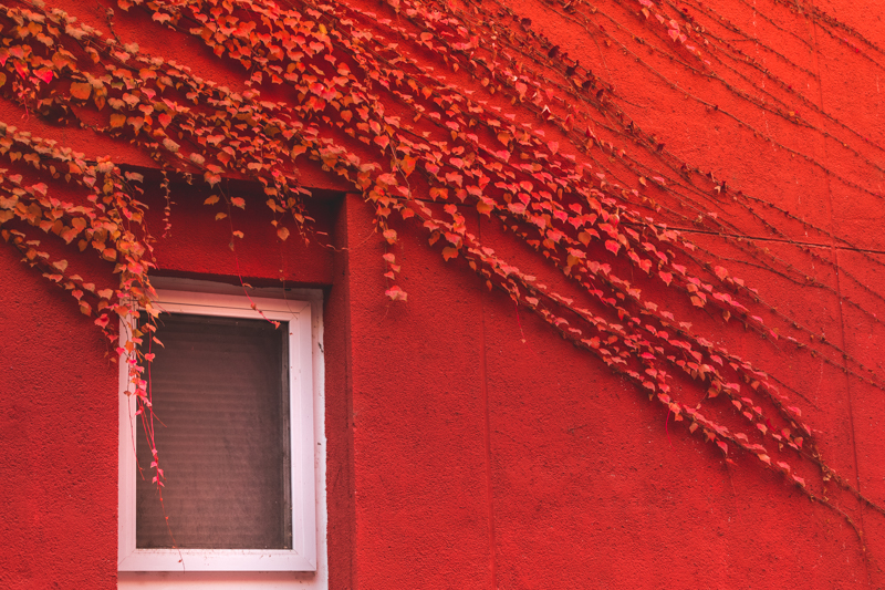 首页| 亿万先生MR中国集团官网登录