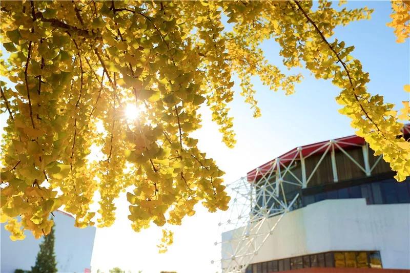 首页| 亿万先生MR中国集团官网登录