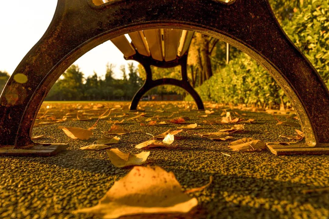 首页| 亿万先生MR中国集团官网登录