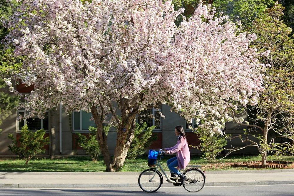 首页| 亿万先生MR中国集团官网登录