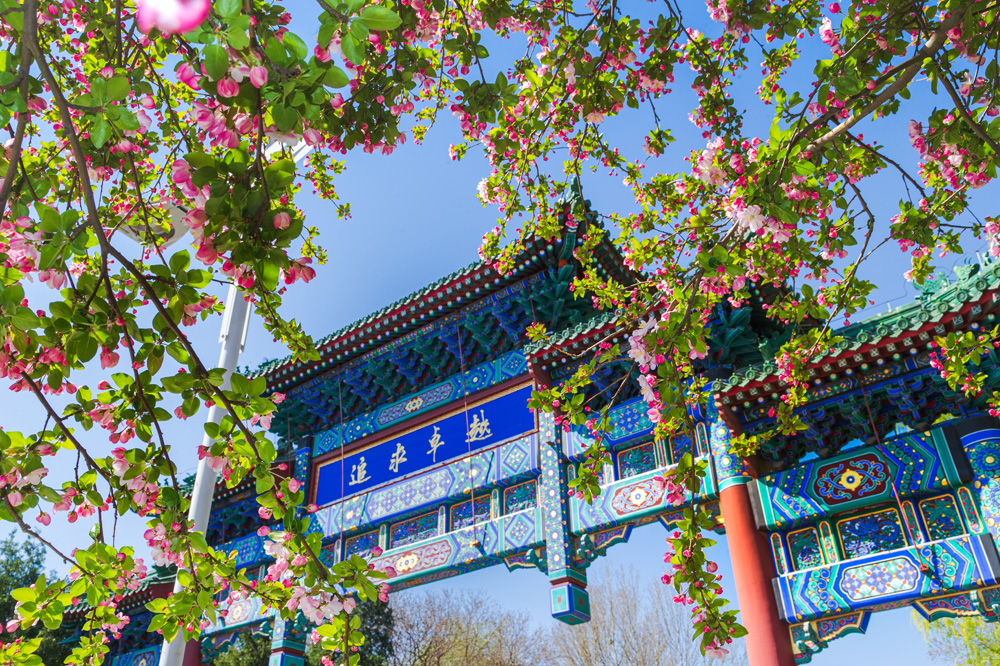 首页| 亿万先生MR中国集团官网登录