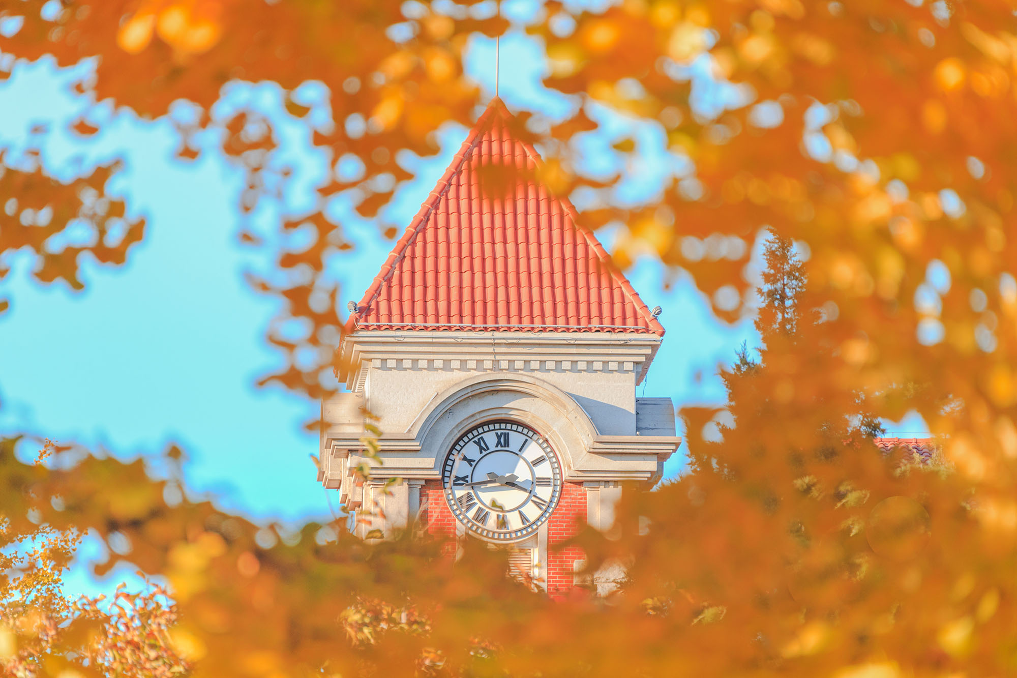 首页| 亿万先生MR中国集团官网登录